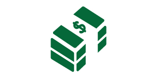 cash icon